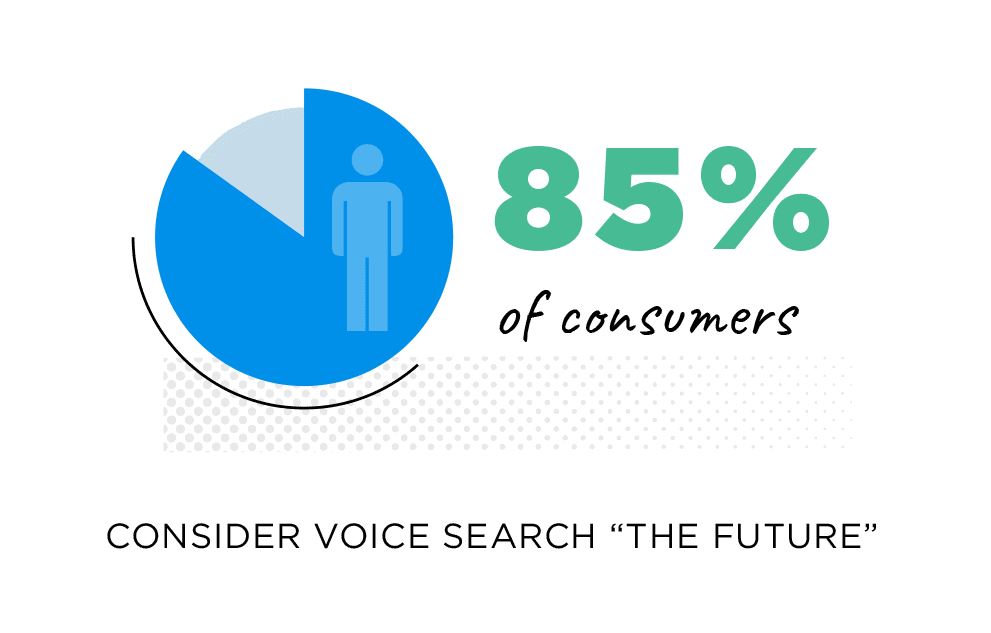 voice search is future